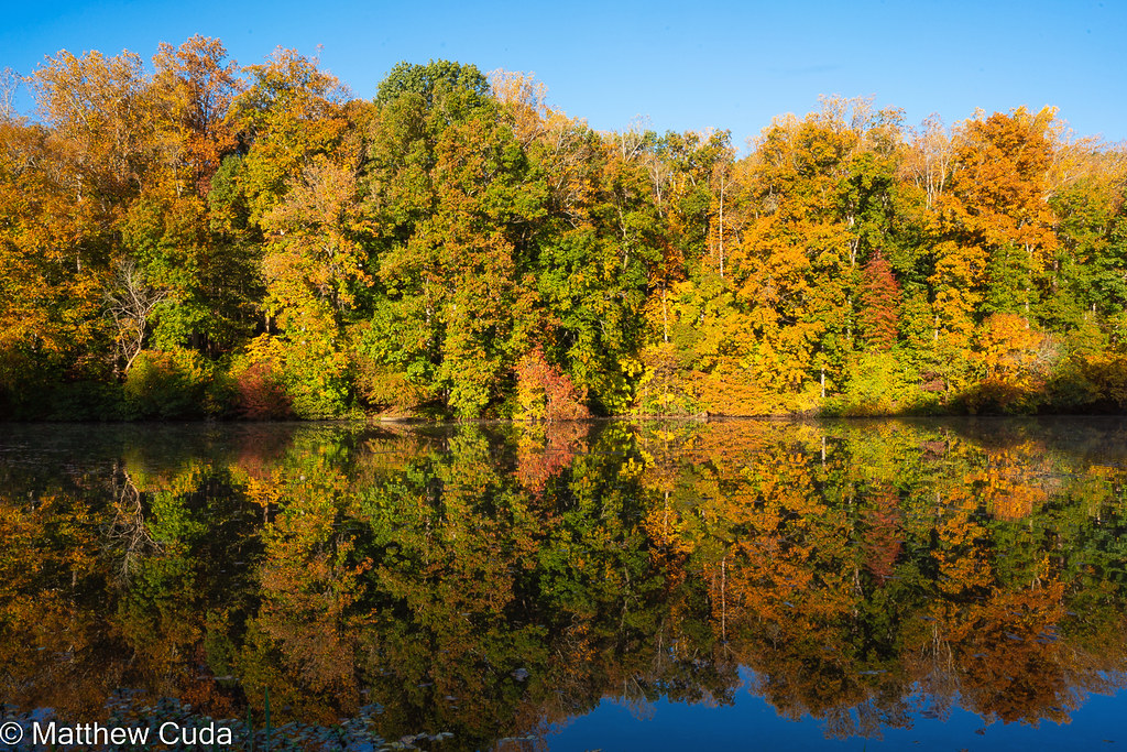 Mallard Lake (Tanglewood) Matt Cuda Flickr