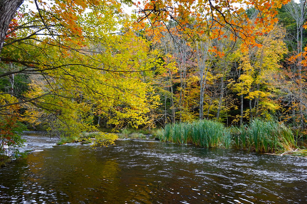 Gaspereau River Autumn Jim Shatford Flickr