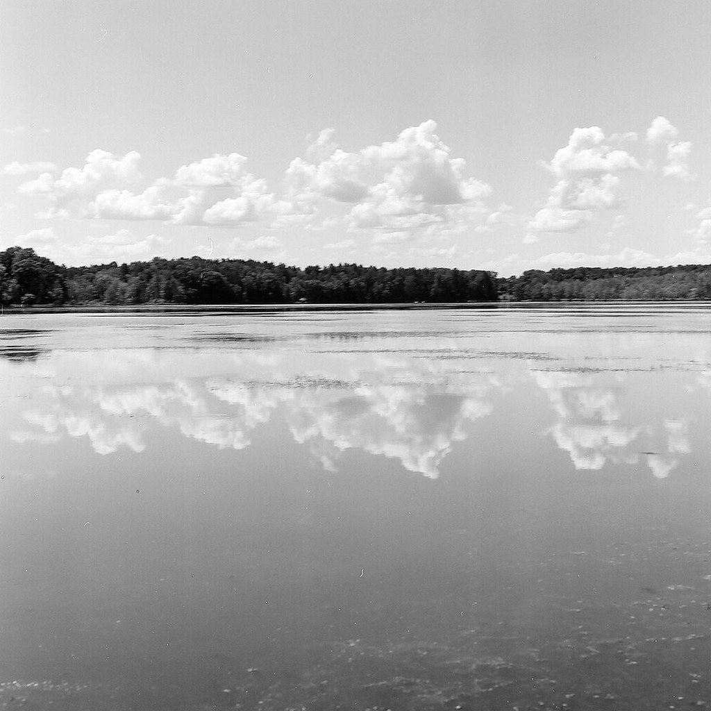 view from across the lake 000071040001 Beaver Lake Nature … Flickr