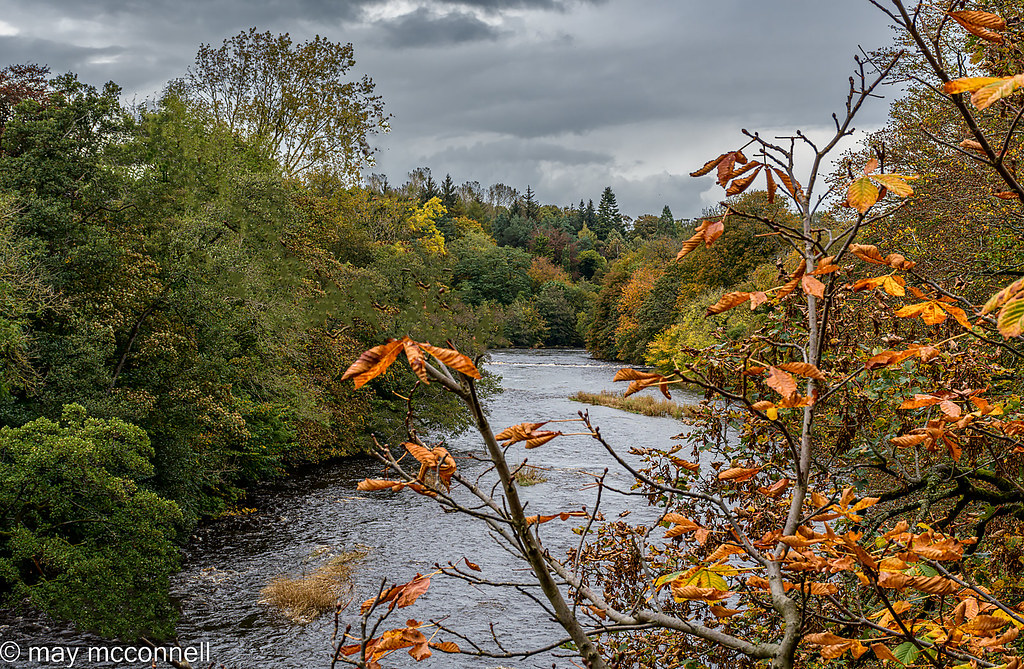 River Ayr at Auchincruive 15 Oct 2022 May McConnell Flickr