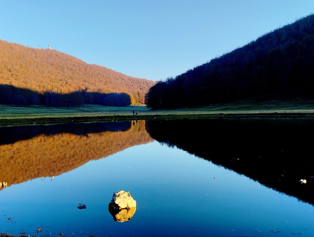 Troverai di più nei boschi che nei libri. Gli alberi e le … Flickr