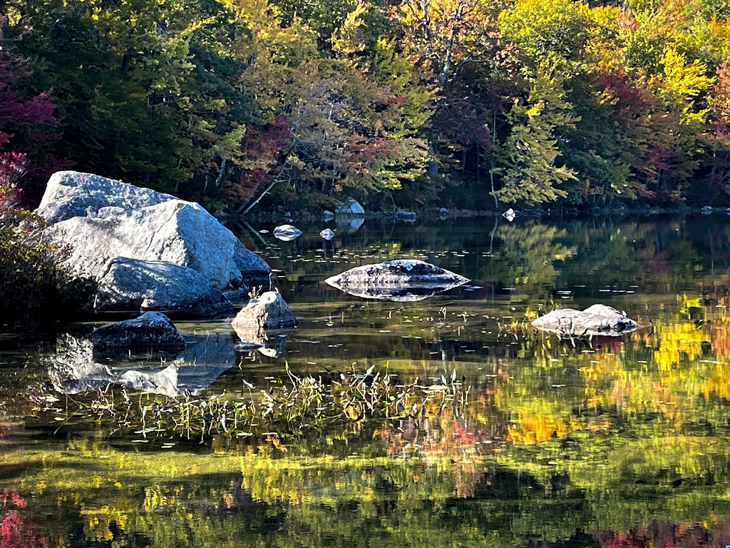 Willard Pond NH Audubon Sanctuary October 8, 2022 Ken Bergman Flickr