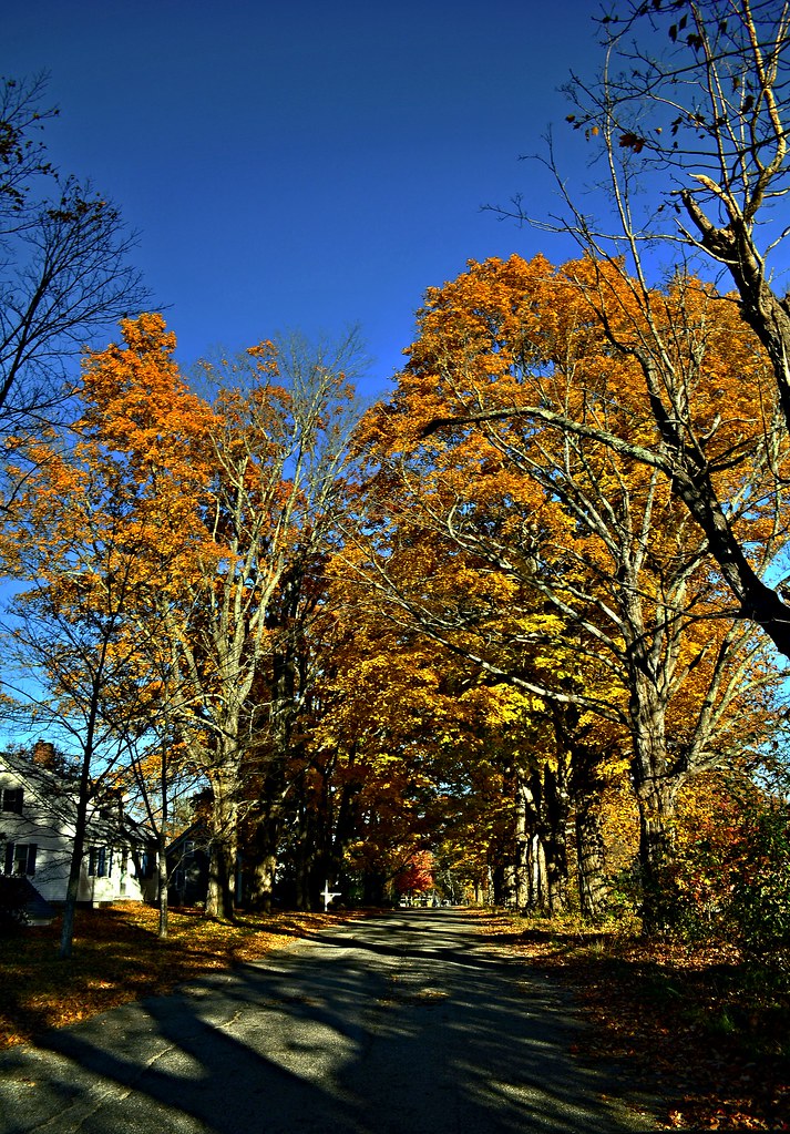 20221015TodaysColor0031 Parsonsfield / Cornish, Maine. P… Flickr