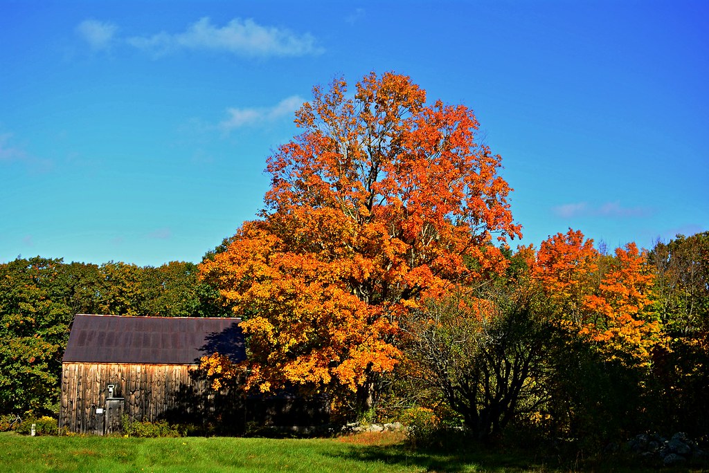 20221015TodaysColor0005 Parsonsfield / Cornish, Maine. P… Flickr