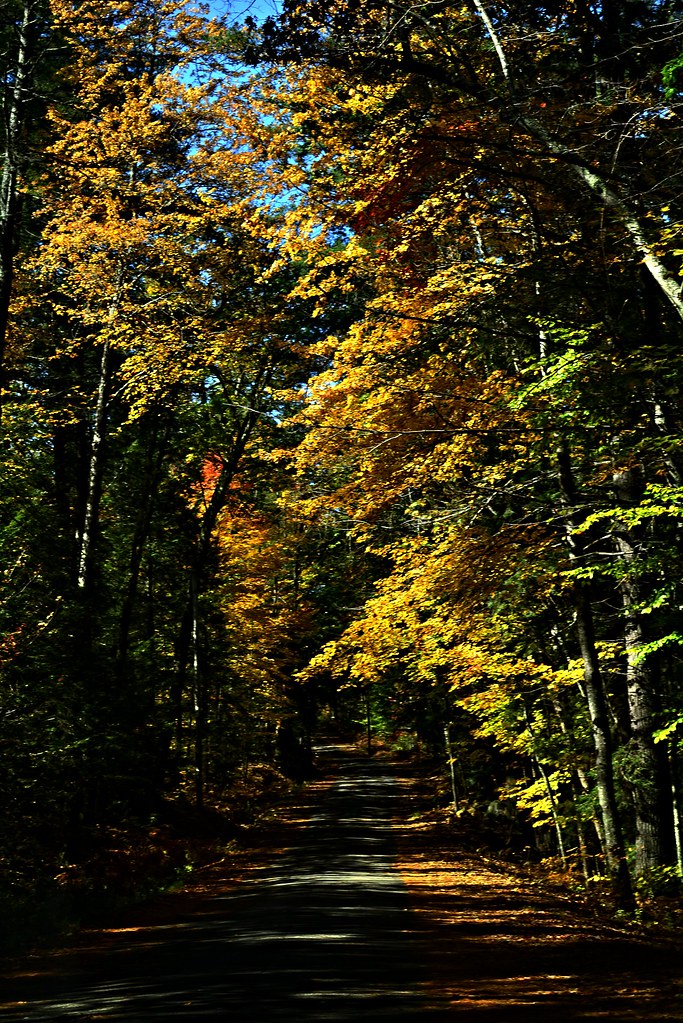 20221015TodaysColor0024 Parsonsfield / Cornish, Maine. P… Flickr