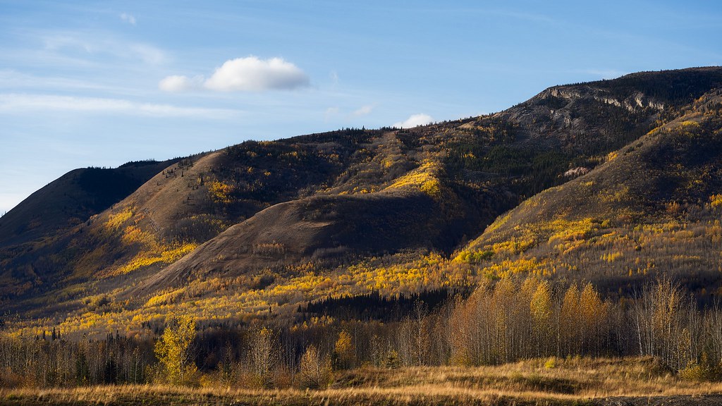 Hills of Gold. Pink Mountain, BC. Dario Perizzolo Flickr
