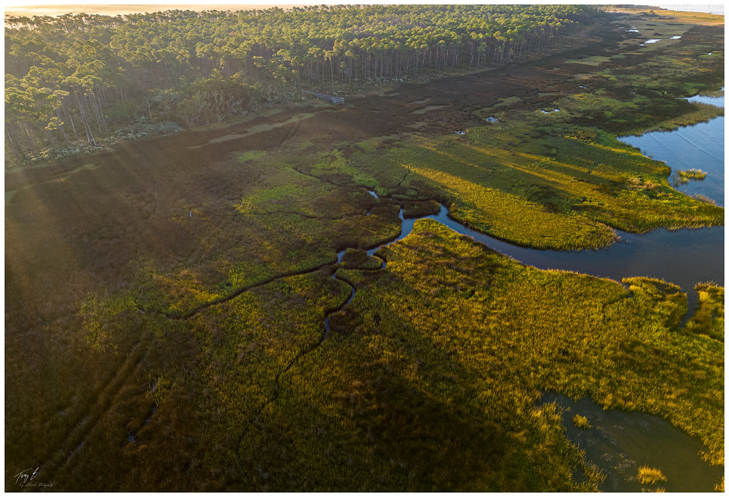 Grand Bay Savannah and Estuary, Grand Bay, Alabama Flickr