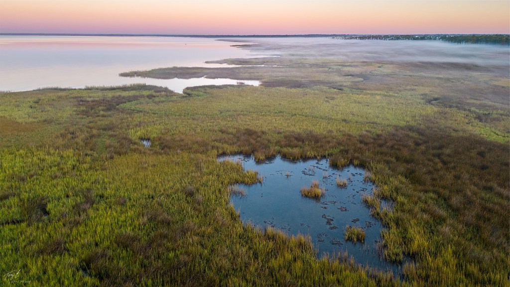 Grand Bay Savannah and Estuary, Grand Bay, Alabama Flickr