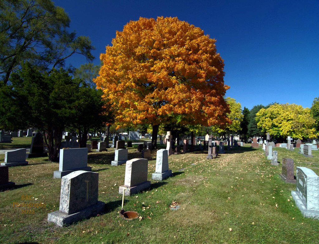 Fall Colors at Saint Casimir Lithuanian Cemetery, Chicago,… Flickr