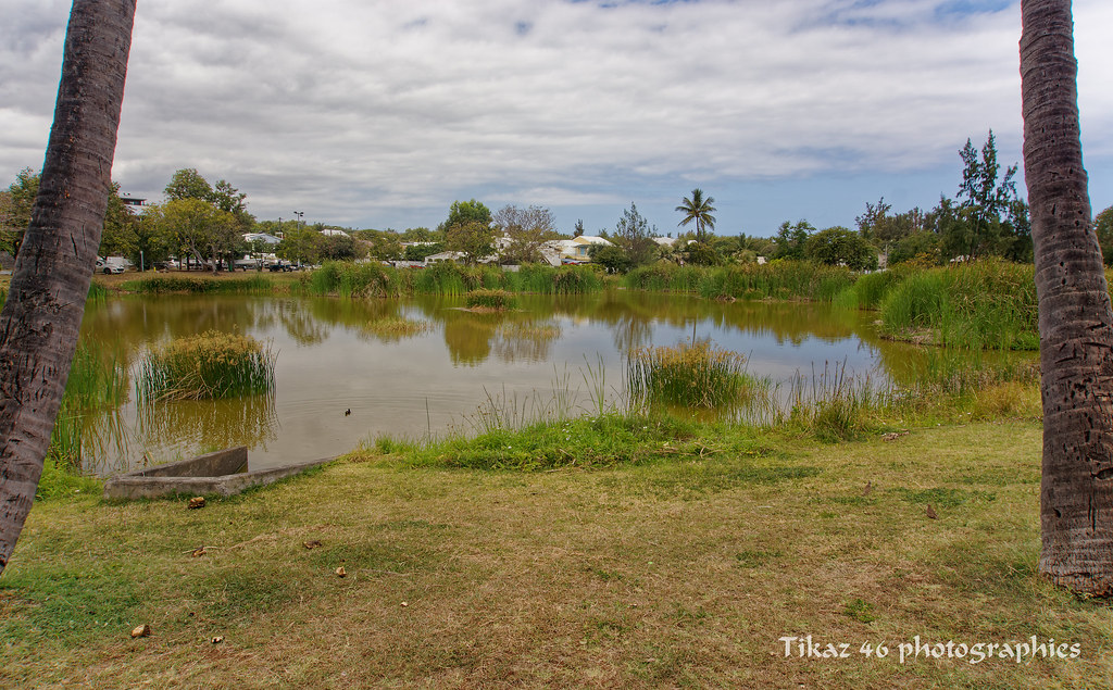 1465RéunionBassin Bleu Etang Salé Christian Maury Flickr
