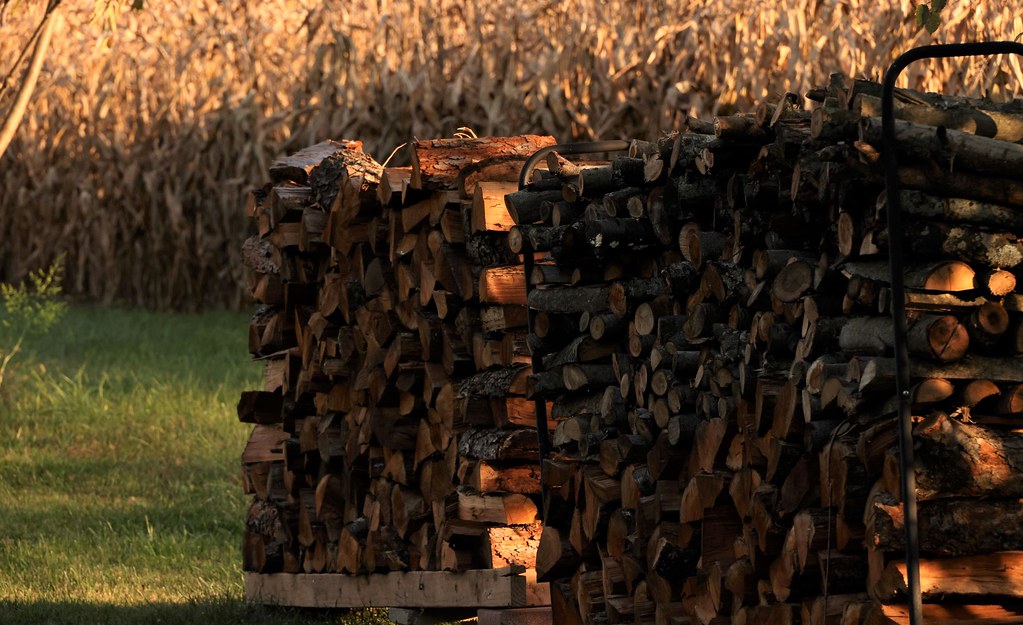R5 firewood BV Road_Westminster, MD_10152022173658r Flickr