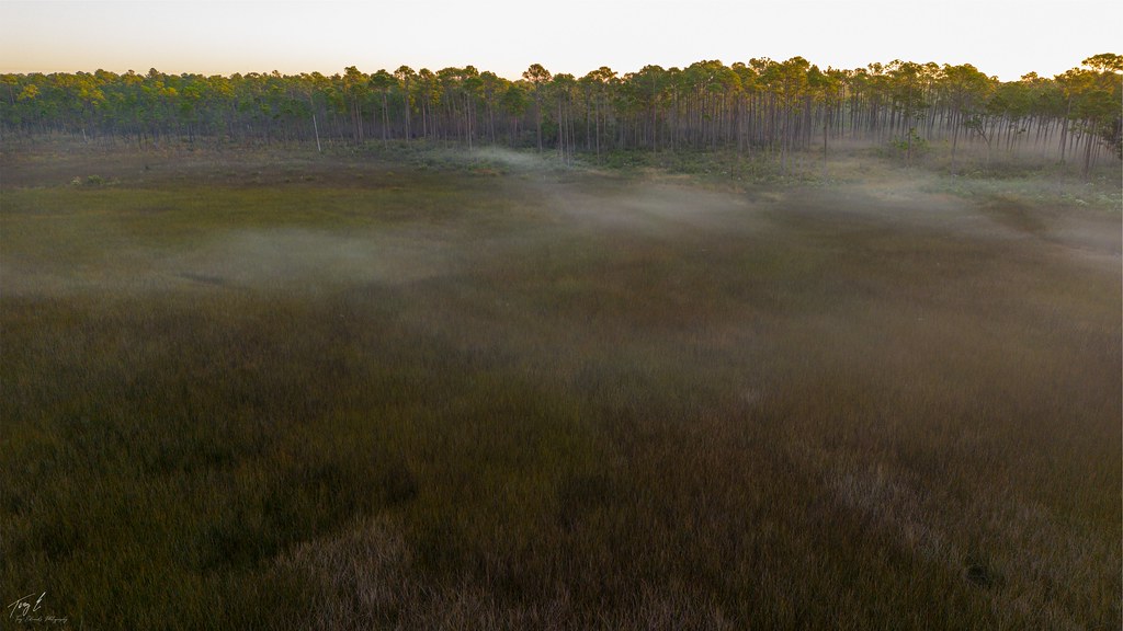 Grand Bay Savannah and Estuary, Grand Bay, Alabama Flickr