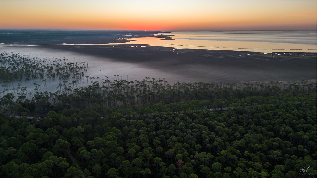 Grand Bay Savannah and Estuary, Grand Bay, Alabama Flickr