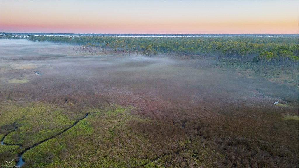Grand Bay Savannah and Estuary, Grand Bay, Alabama Flickr