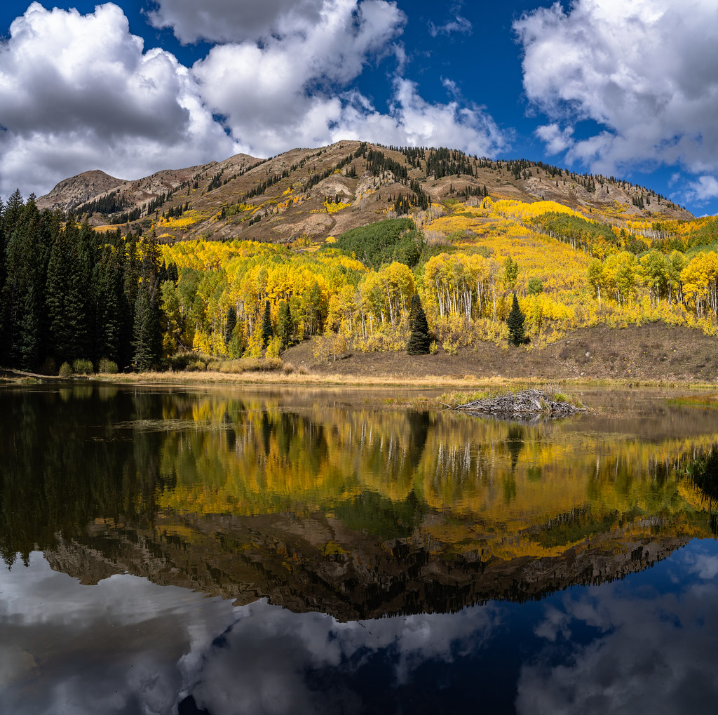 The Beaver Pond A short distance below Ohio Pass in the We… Flickr