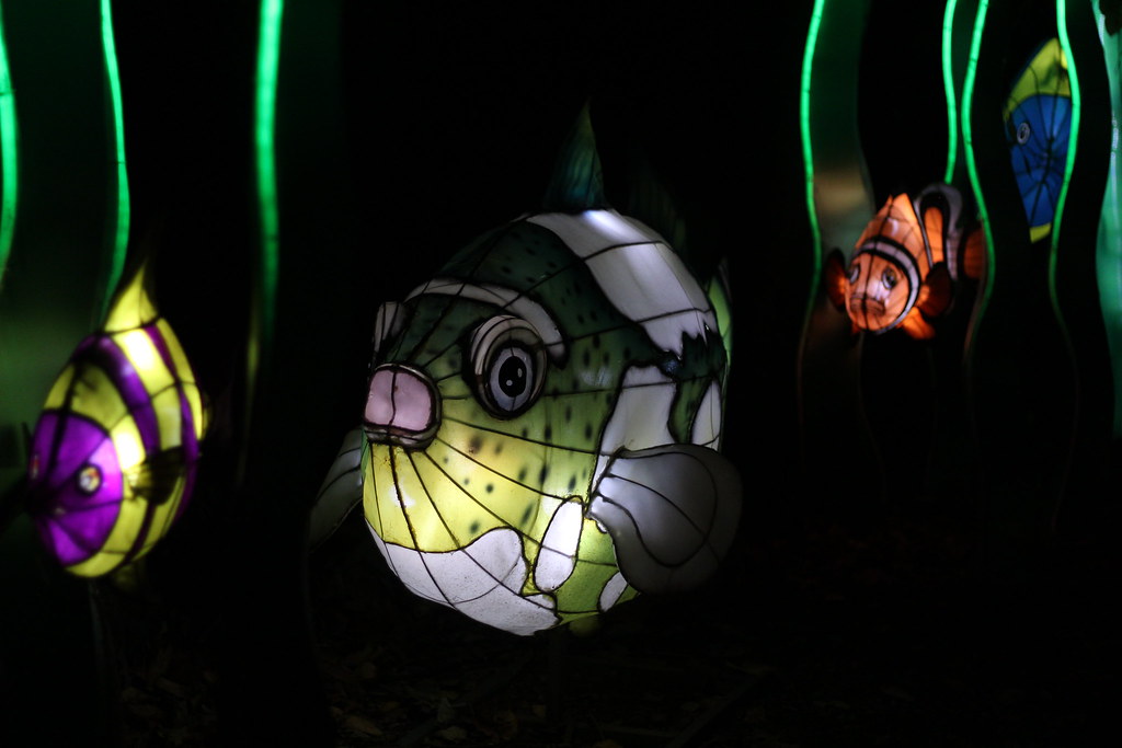 Beardsley Zoo Lantern Festival Brianna Mejia Flickr