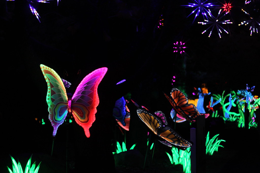 Beardsley Zoo Lantern Festival Brianna Mejia Flickr