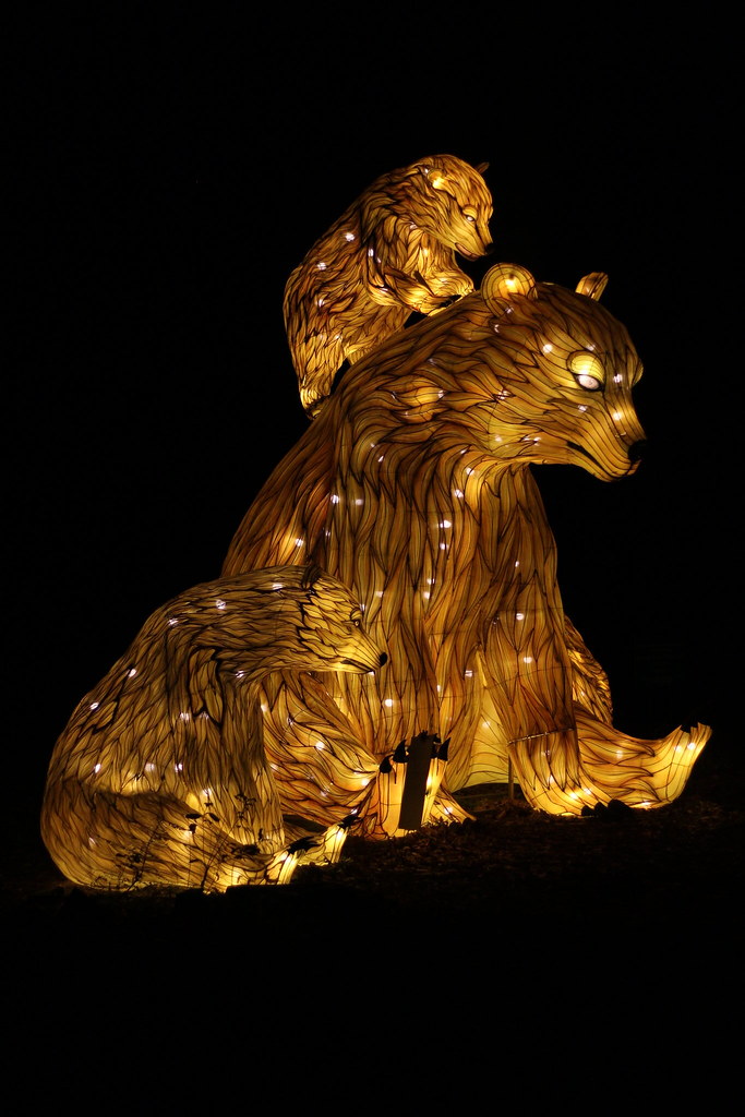 Beardsley Zoo Lantern Festival Brianna Mejia Flickr