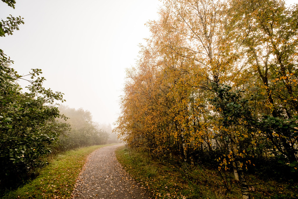 Clock Face Country Park (24 of 30) Clock Face Country Park… Flickr