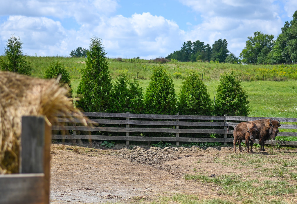 20221004NRCSBD11 Ohio NRCS Flickr