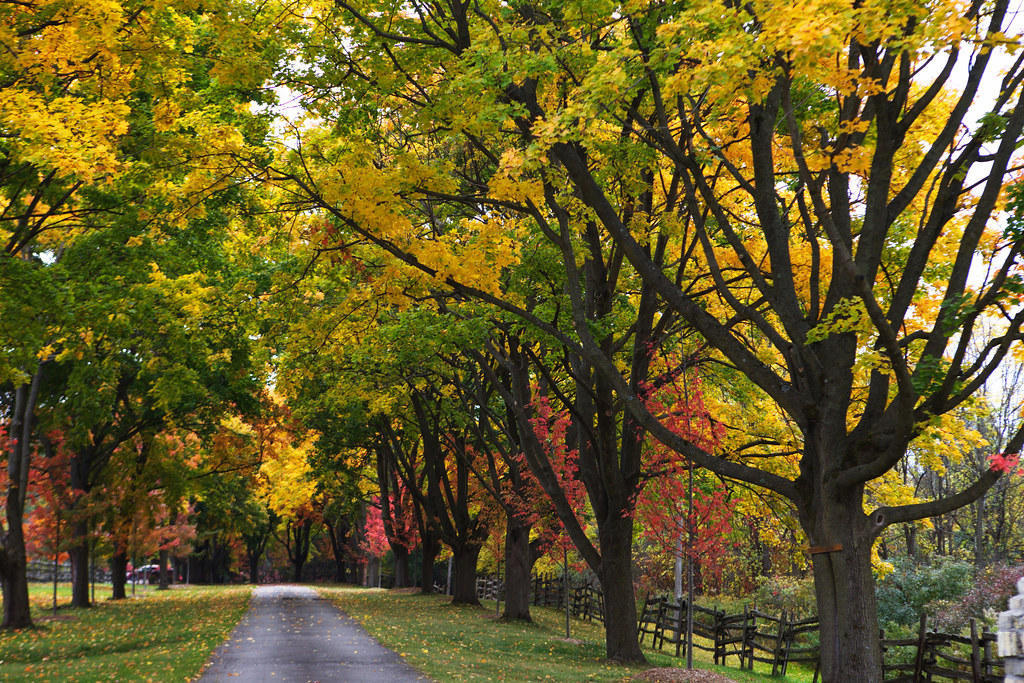Changing season near London, Ontario Klaus Lang Flickr
