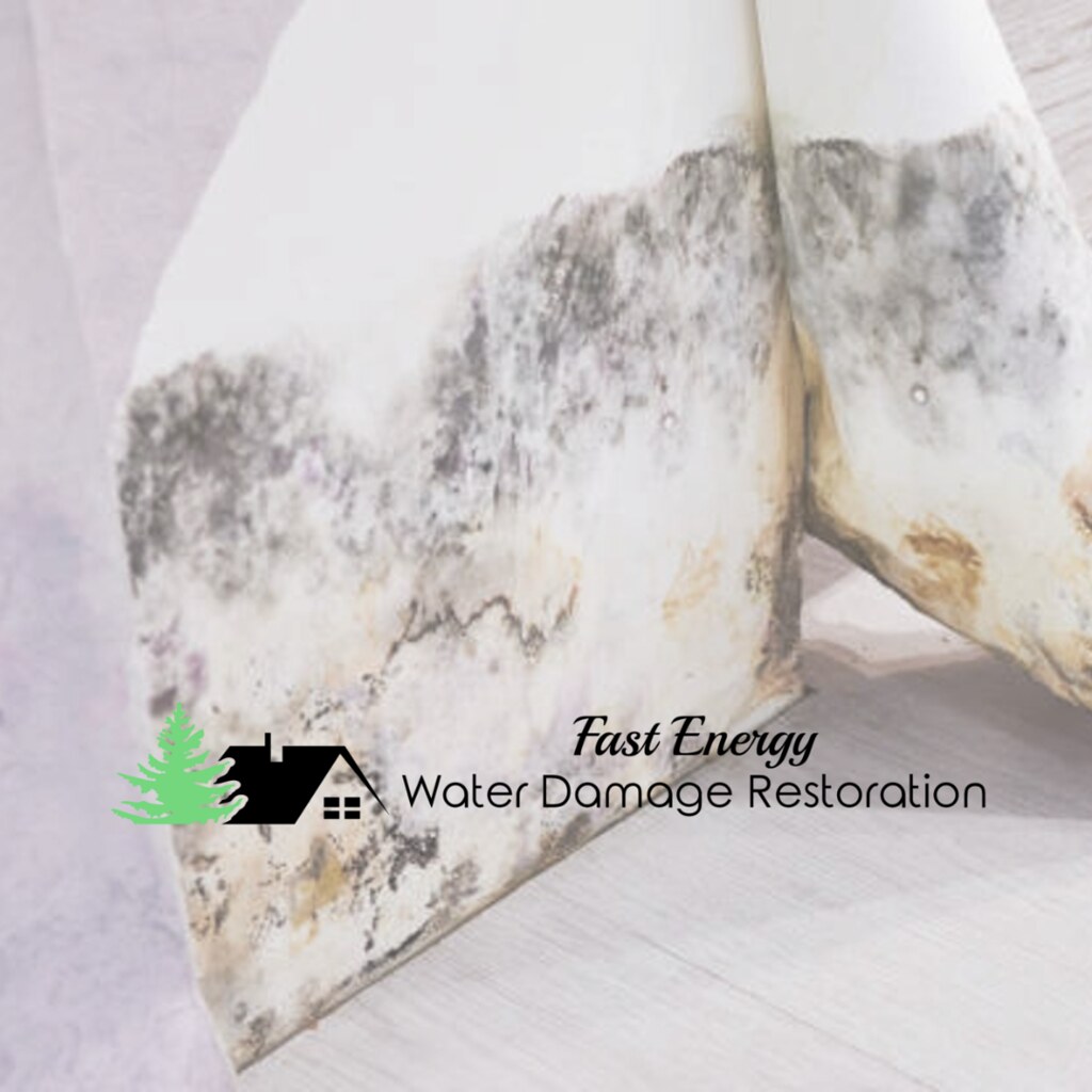 Mold Removal Mold is not only unsightly, but it can also b… Flickr