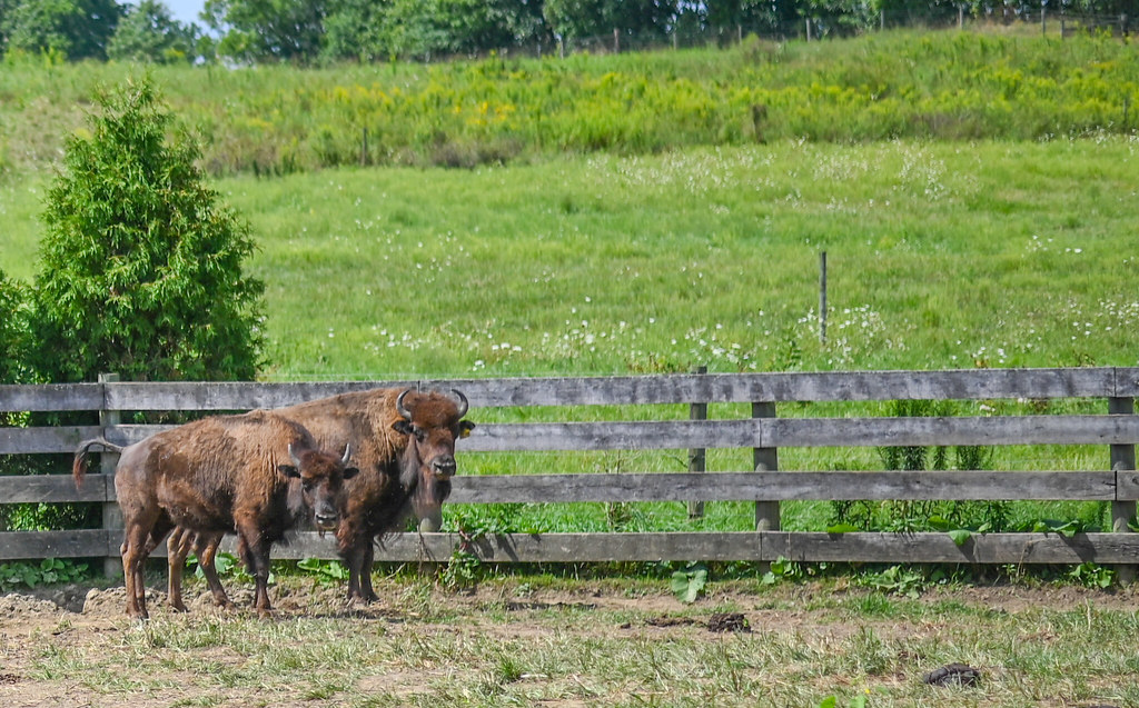 20221004NRCSBD12 Ohio NRCS Flickr