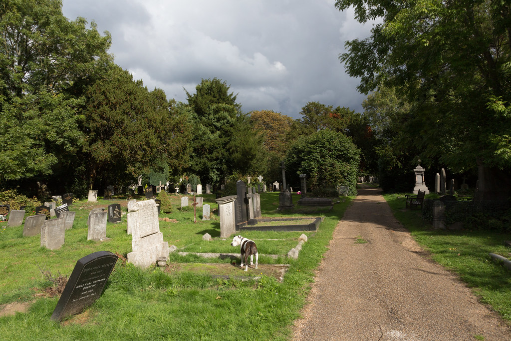 Cemetery Steve Reed Flickr