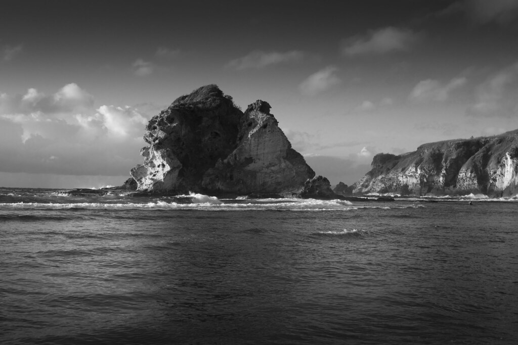 20200220 Bird Island_0208 dMRimages Flickr