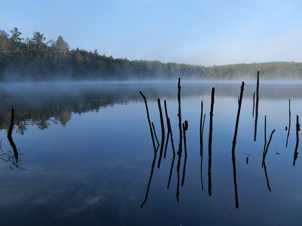 PGX93062 White Deer Lake 2022 Russ Miller Flickr