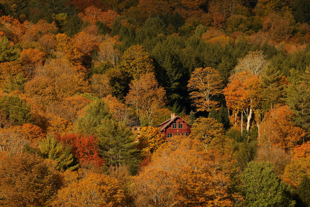 Pomfret, Vermont, foliage When I was admiring the colors o… Flickr