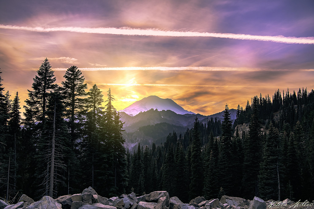 Sunset Mt. Rainier October Natalia Flickr