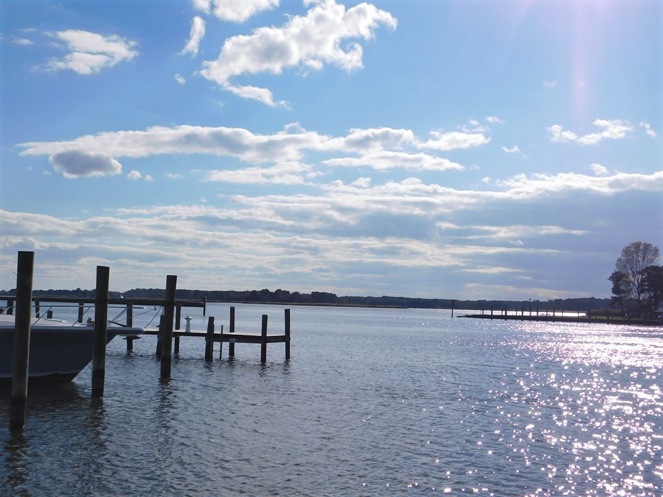 Kent Narrows Looking south from the pier at the Narrows re… Flickr