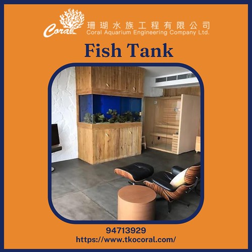 Fish Tank The Pet Safe Fish Tank is a safe and affordable … Flickr