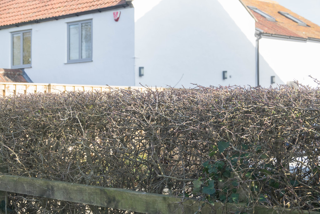 Kingston Seymour06839 John French Flickr