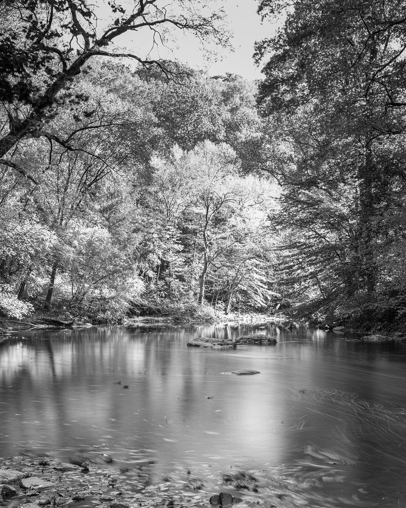 Wissahickon_4x5_001.jpg JFMarston Flickr