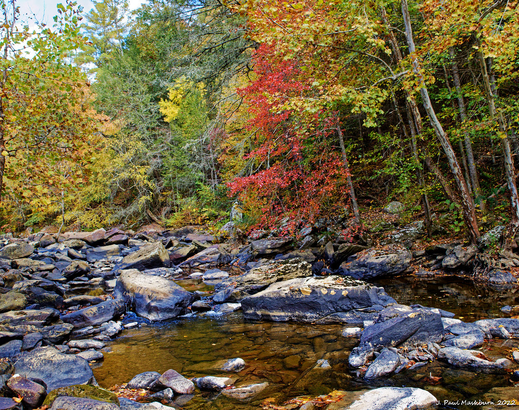Crooked Fork Creek Some fall shots from County, TN.… Paul's