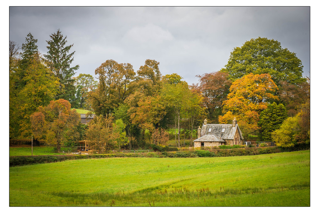 Autumn Part of the Overtoun estate, Dumbarton, Scotland Chris McC