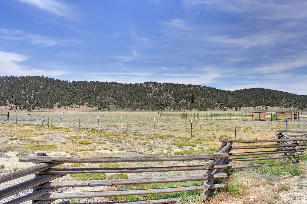 Erwin Lake Meadow Jim Tunnell Flickr