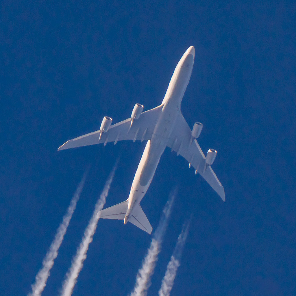 LHB748 Wingnut Photos Flickr