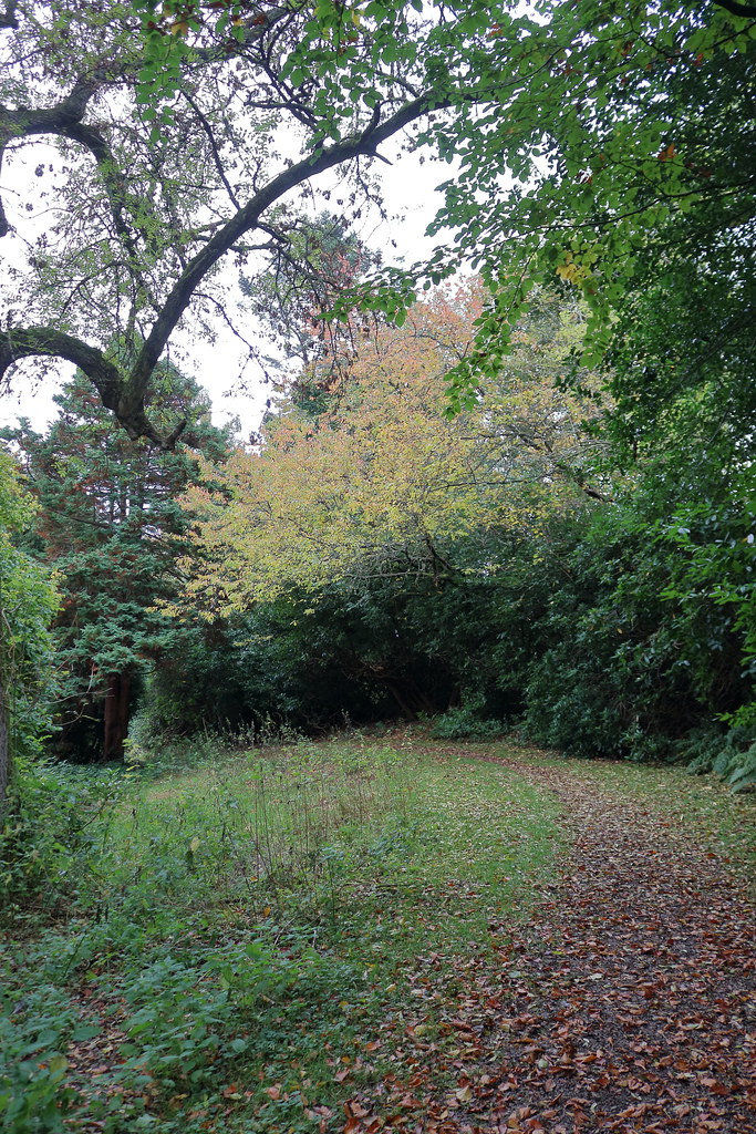 Autumn by the Pond,Coupers Pond,Macaulay Drive,Aberdeen_oc… Flickr