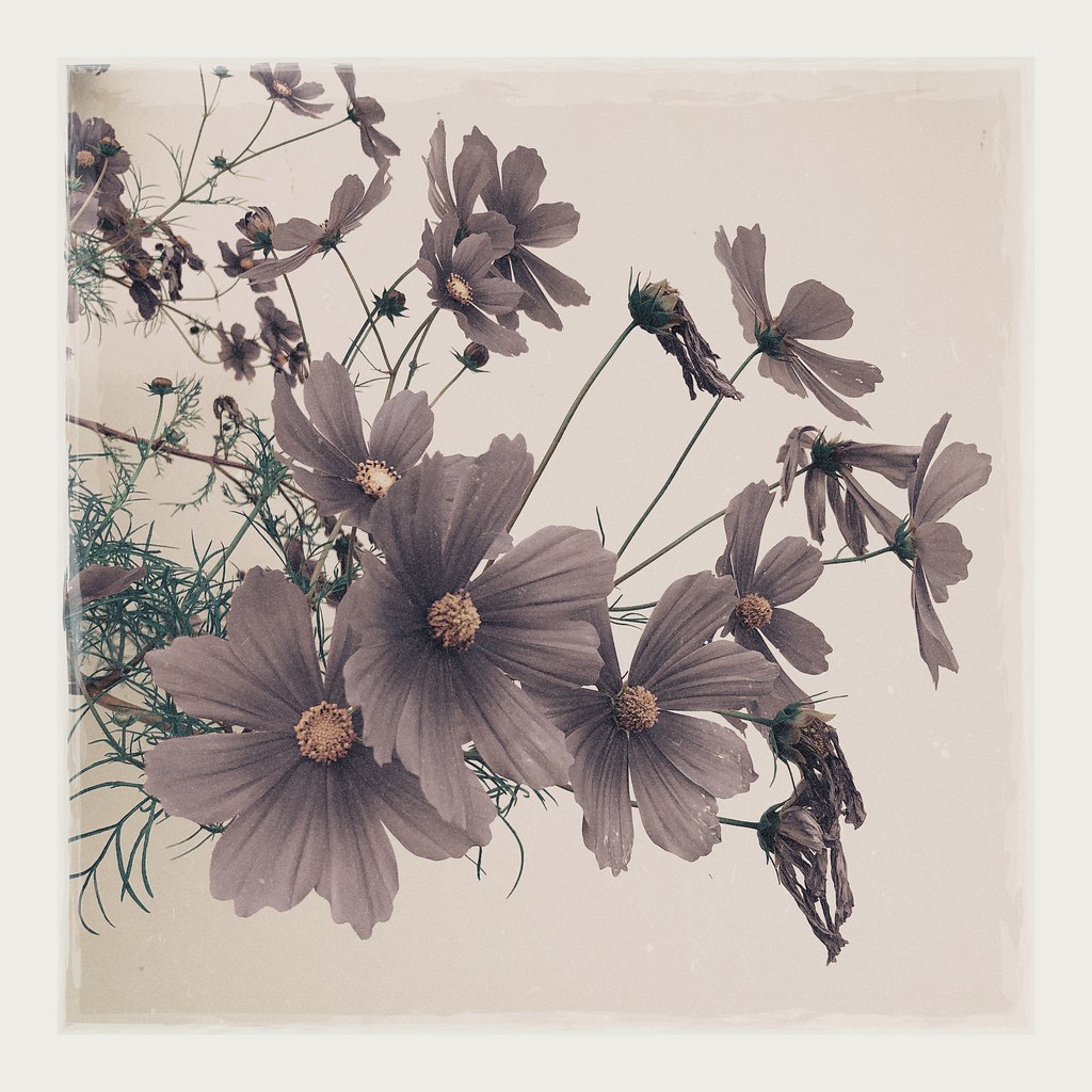 Untitled Jean Loup FOSSETTE Flickr