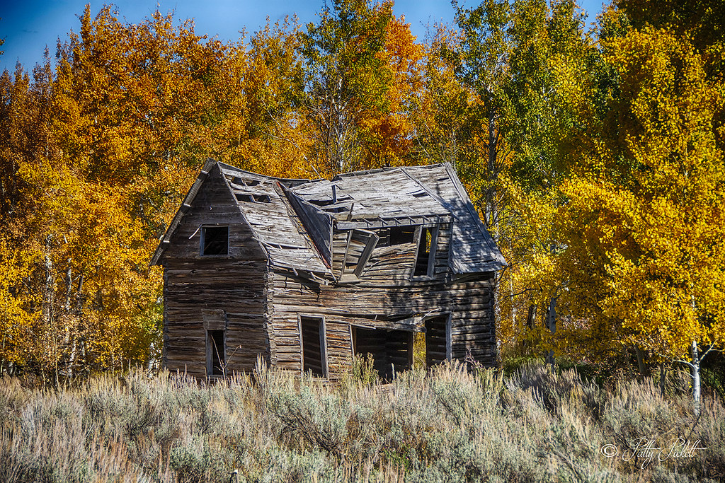 near Ashton Idaho Pattysphotos Flickr