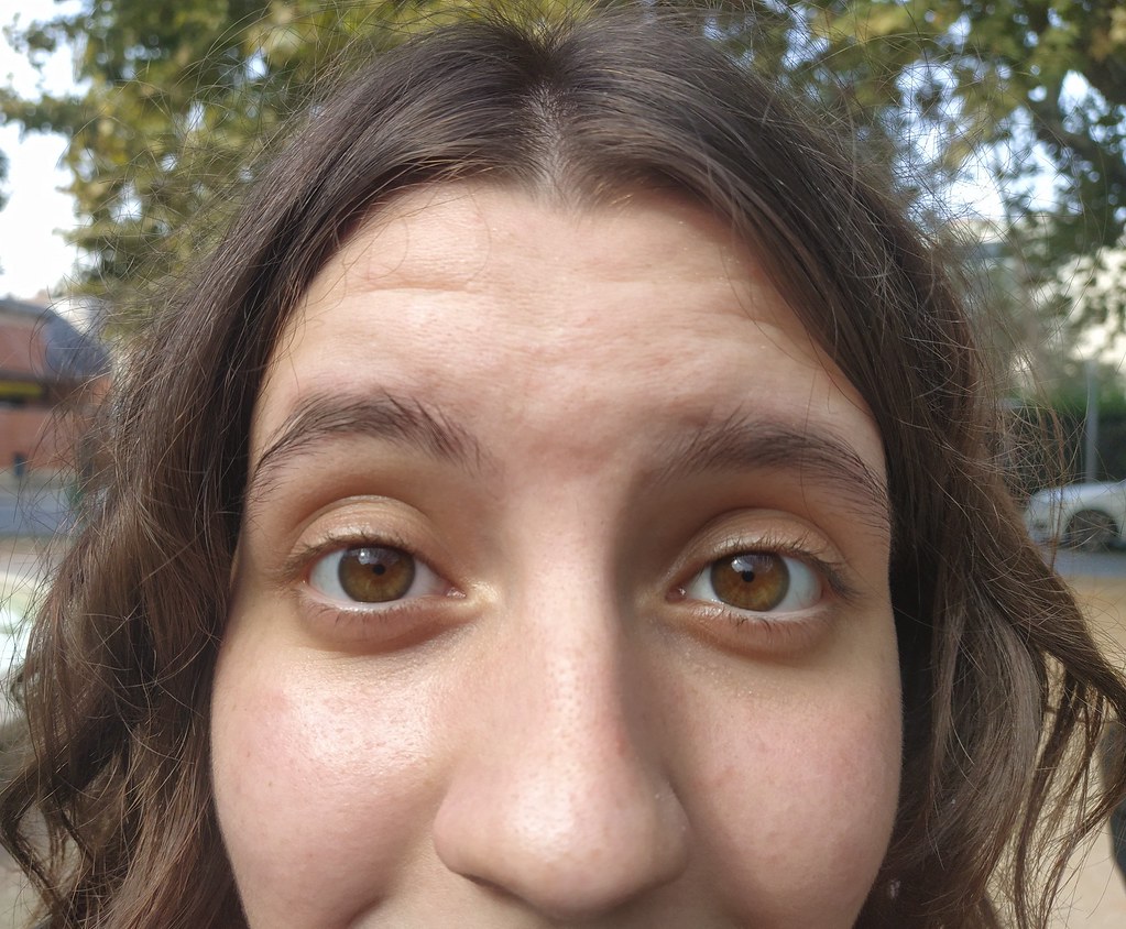 Primerissim Primer Pla Gemma Pla Flickr