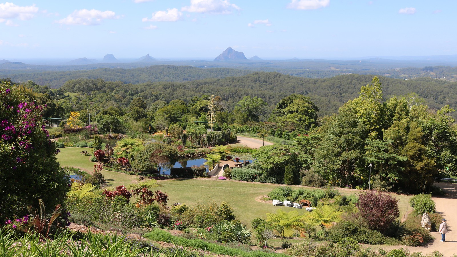 Maleny Botanic Gardens 2020 Flickr