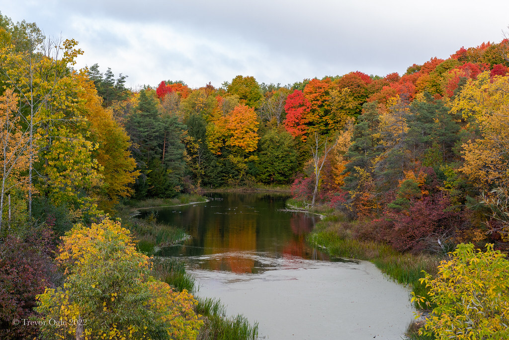 2489wm Fall colours in Palgrave Ontario Trevor Ogle Flickr