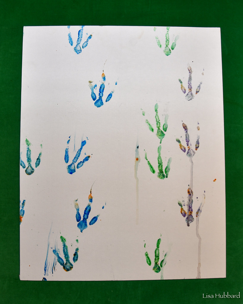 DSC_7567.jpg Lisa Hubbard Flickr