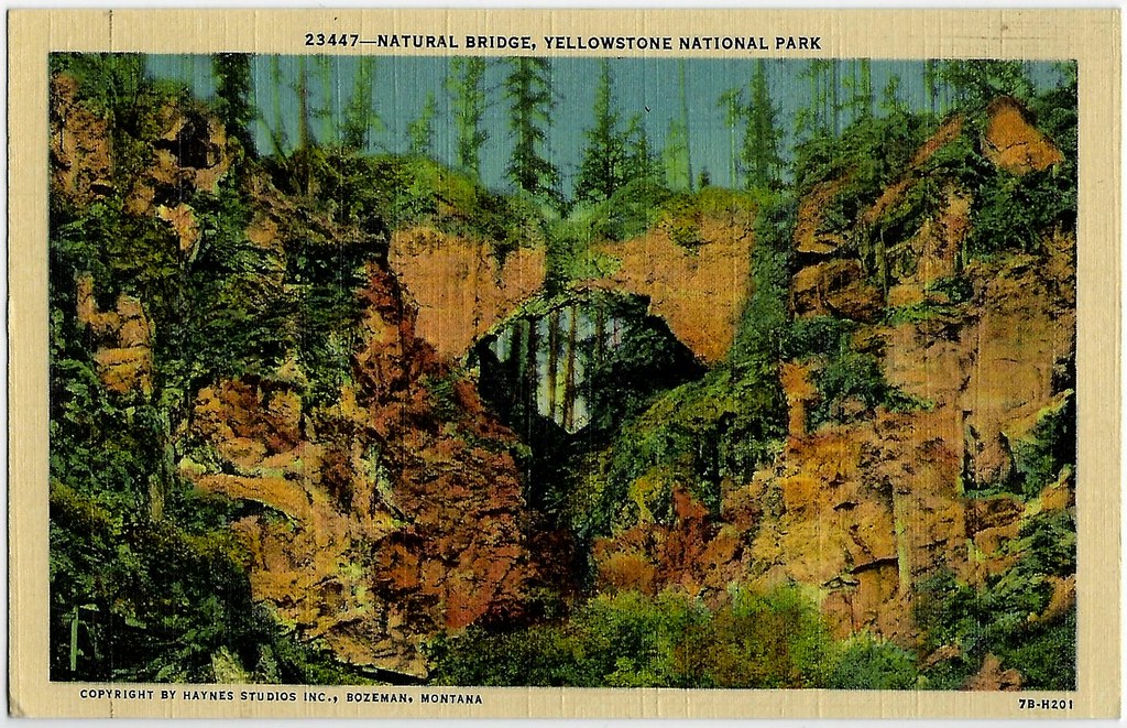Natural Bridge. Yellowstone National Park. Postcard. Flickr