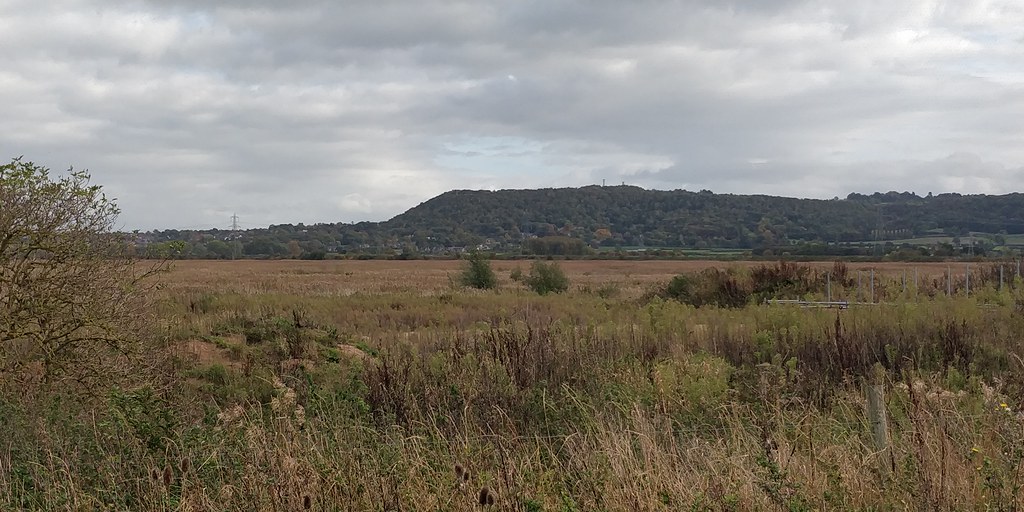 Frodsham Hill from Frodsham Marsh Steven Heywood Flickr