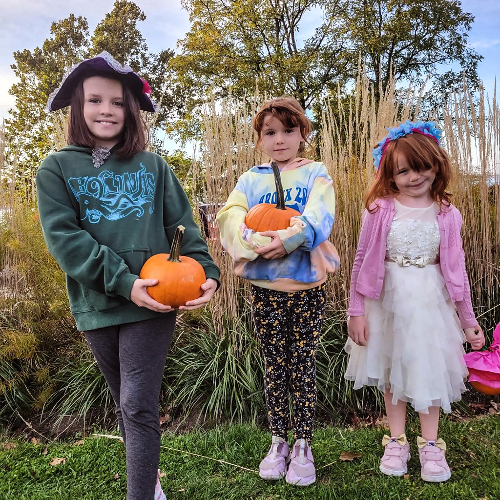 Pumpkins at Fort Totten Park Photo from Emily Jim Griffin Flickr